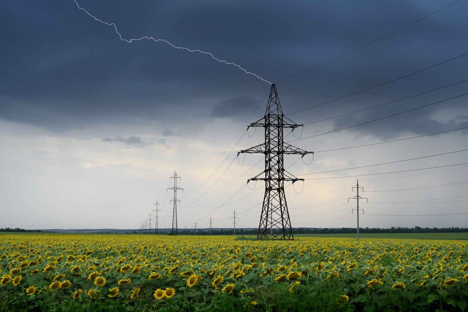 Whole home surge protection